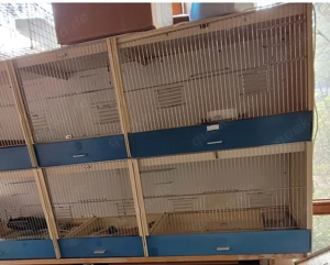 Zuchtbox zuchtkäfig. 