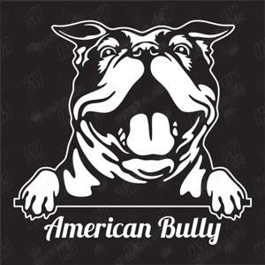  American Bully  Wurfankündigung  Anfang Dezember 