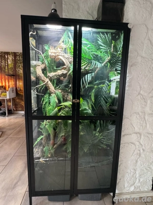 Terrarium Metall Modern Design Hochterrarium 190x45x80 Glasterrarium  