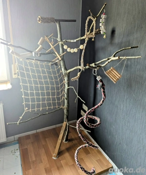 Vogelbaum mit Zubehör 