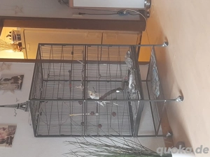 bubi 3 jahre bella 3 jahre