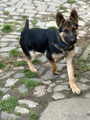 Neuen Kuschelplatz gesucht 