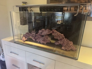 Meerwasseraquarium komplett Neu 250 l zuverkaufen