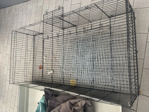 Nagerkäfig XXL mit Auslauf zu verschenken 