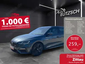 Skoda Octavia Combi RS TDI DSG 4x4 Matrix AHK Navi Pano HUD A...