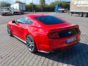Ford Mustang Mustang 5.0 Ti-VCT V8 Aut. GT Bild 5