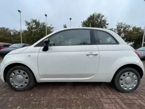 Fiat 500 1.0 CULT*Sitzheizung*Klima*Allwetterreifen Bild 2