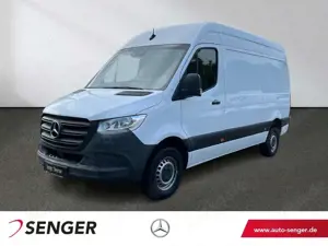 Mercedes-Benz Sprinter 316 CDI KA L2H2 Standhzg BOTT AHK3,5t