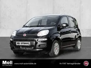 Fiat Panda Easy 1.2 8V EU6d-T DAB PDC Berganfahrass. Klima el