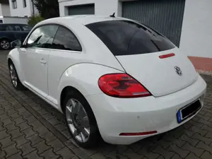 Volkswagen Beetle The Beetle The 1.2 TSI Bild 3