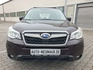 Subaru Forester 2.0X Lineartronic Exclusive *Klima / Xenon* Bild 3