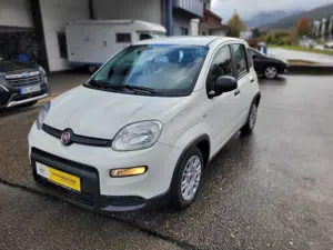 Fiat Panda Base Hybrid sehr 1,0 gepflegt 12 Monate Garantie
