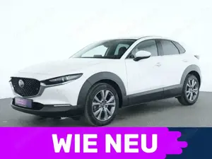 Mazda CX-30 Selection ACC|LED|Apple CarPlay|Navi