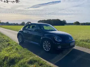 Volkswagen Beetle 2.0 TSI DSG Sport Pano Xenon Leder