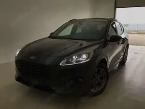 Ford Kuga Hybrid ST-Line X Schiebedach AHK