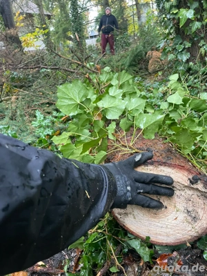 Gartenpflege in Berlin & Umgebung   zuverlässig und fachgerecht!