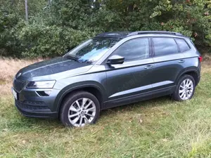 Skoda Karoq Karoq 2.0 TDI SCR 4x4 DSG Style