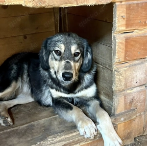 Hope sucht ihre Menschen   