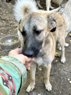 Wer verliebt sich in Malu ?