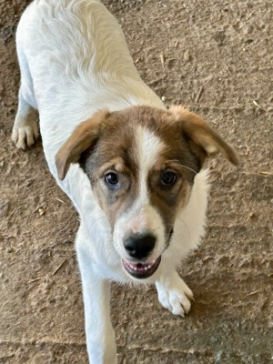 Die kleine Ela will zu Dir Bild 4