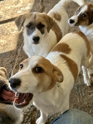 Die kleine Ela will zu Dir Bild 6