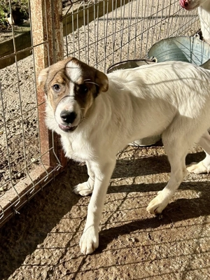 Die kleine Ela will zu Dir