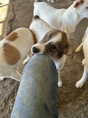 Die kleine Ela will zu Dir Bild 7