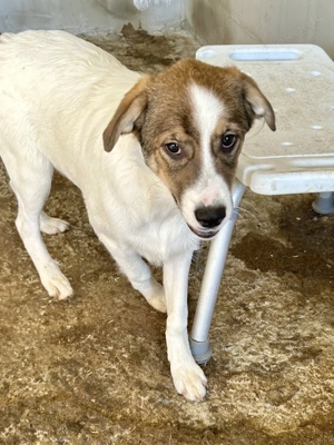 Die kleine Ela will zu Dir Bild 9