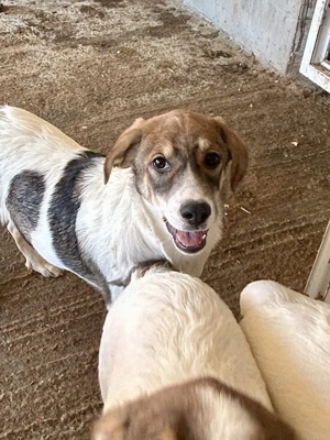 Fiona ist so bezaubernd  Bild 2