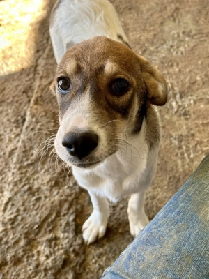 Fiona ist so bezaubernd  Bild 7