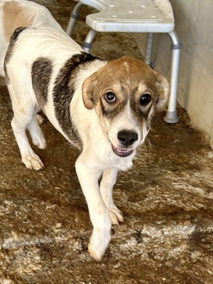 Fiona ist so bezaubernd  Bild 5