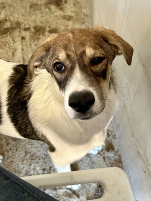 Fiona ist so bezaubernd  Bild 6