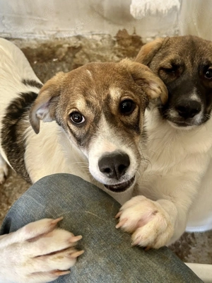 Fiona ist so bezaubernd  Bild 8