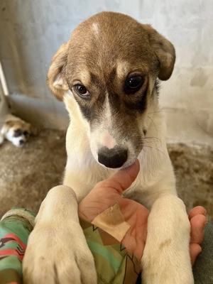 Fiona ist so bezaubernd  Bild 9