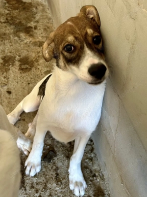 Fiona ist so bezaubernd  Bild 10