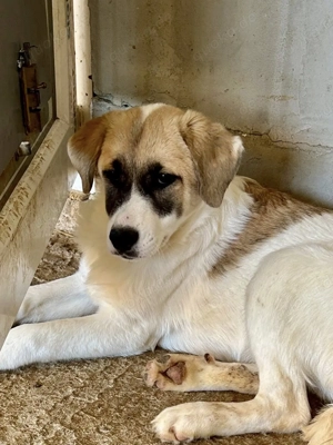 Olea ist so bezaubernd 