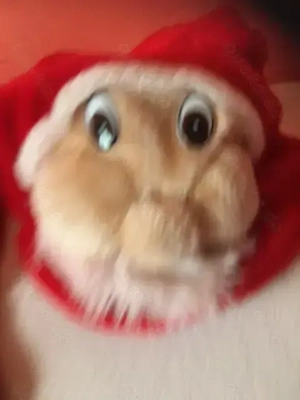 NIKOLAUSSTRÜMPFE -Grosse Strümpfe Versch. Ausführungen- *NEU Bild 5