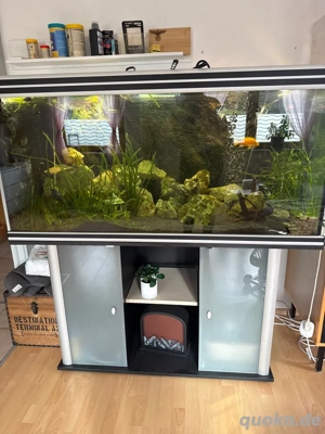 Aquarium inkl Fische 