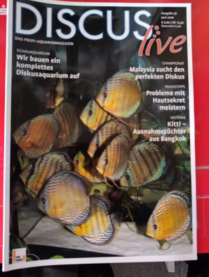 Discus life Aquarienmagazin