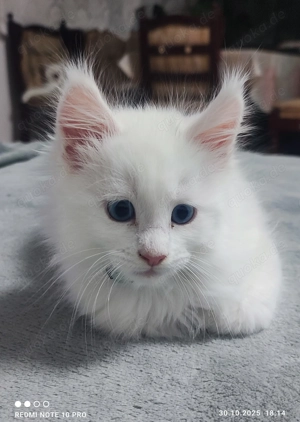 Eine weiße, sanfte Wolke.