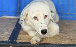 Christine - sanfte Seele mit Sommersprossen