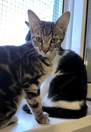 Lili wartet auf ihr Ticket ins Glück