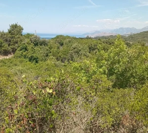 Ruine 51m2 ,Grundstück 1400m2 Sandstrand 4-5km.