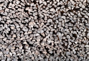 Brennholz (Buche, Esche, Eiche)