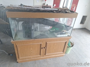Aquarium mit Unterschrank 