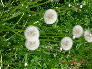 Wellness! Heute... Wen darf ich heute zu einem Wellnesspaket einladen 