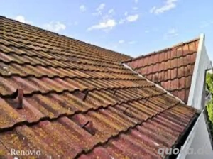 Geben Sie Ihrem Dach neuen Glanz! Komplettreinigung nur 17   m 