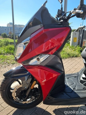 Sym Jet 14 50 4T 14 Zoll Großrad Neuwertig wenig km