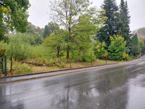 Baugrundstück 1.147 qm in Clausthal-Zellerfeld provisionsfrei Bild 2