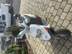 Piaggio C13, Modell Stalker, Bj.: 1998